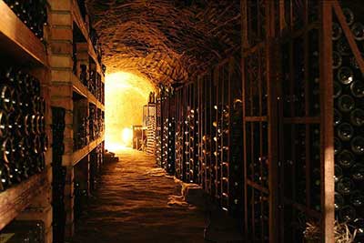 Wine Cellar Wine Cellar