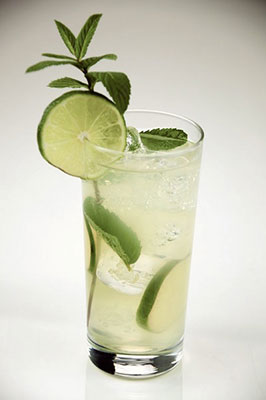 Mojito Mojito